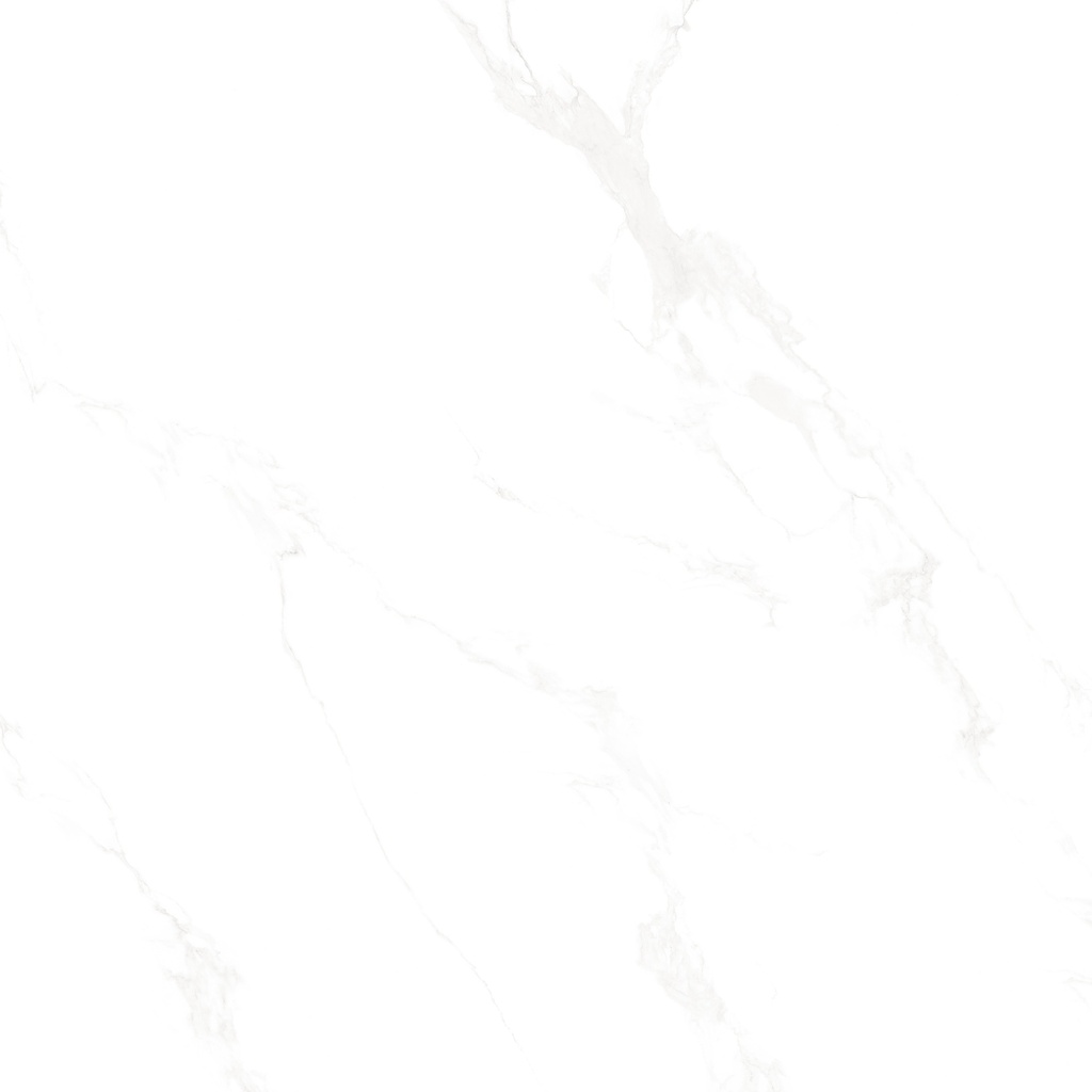 Marble Carrara Matt 48X48
