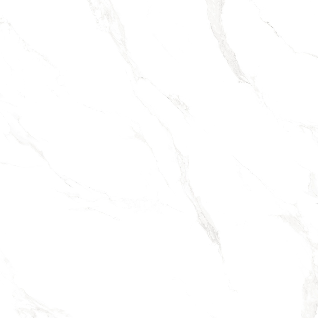 Marble Carrara Matte Satin 48X48