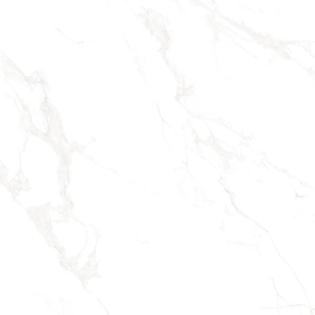 Marble Carrara Polished 48X48