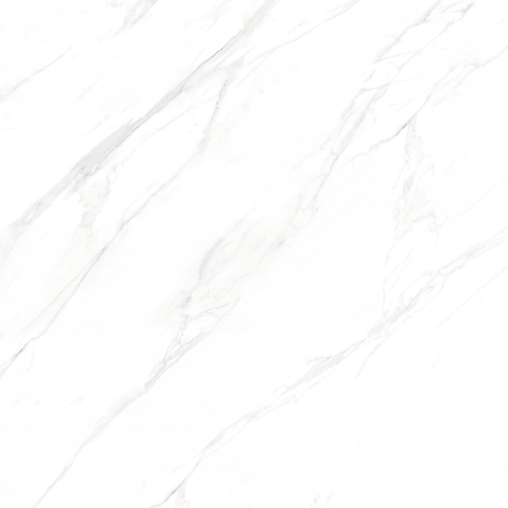 Marble Statuario Polished 48X48