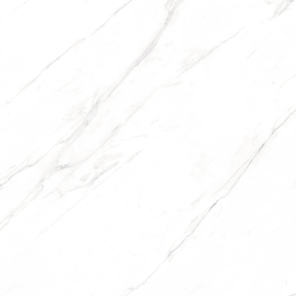 Marble Statuario Polished 48X48