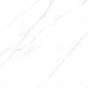 Marble Statuario Polished 48X48