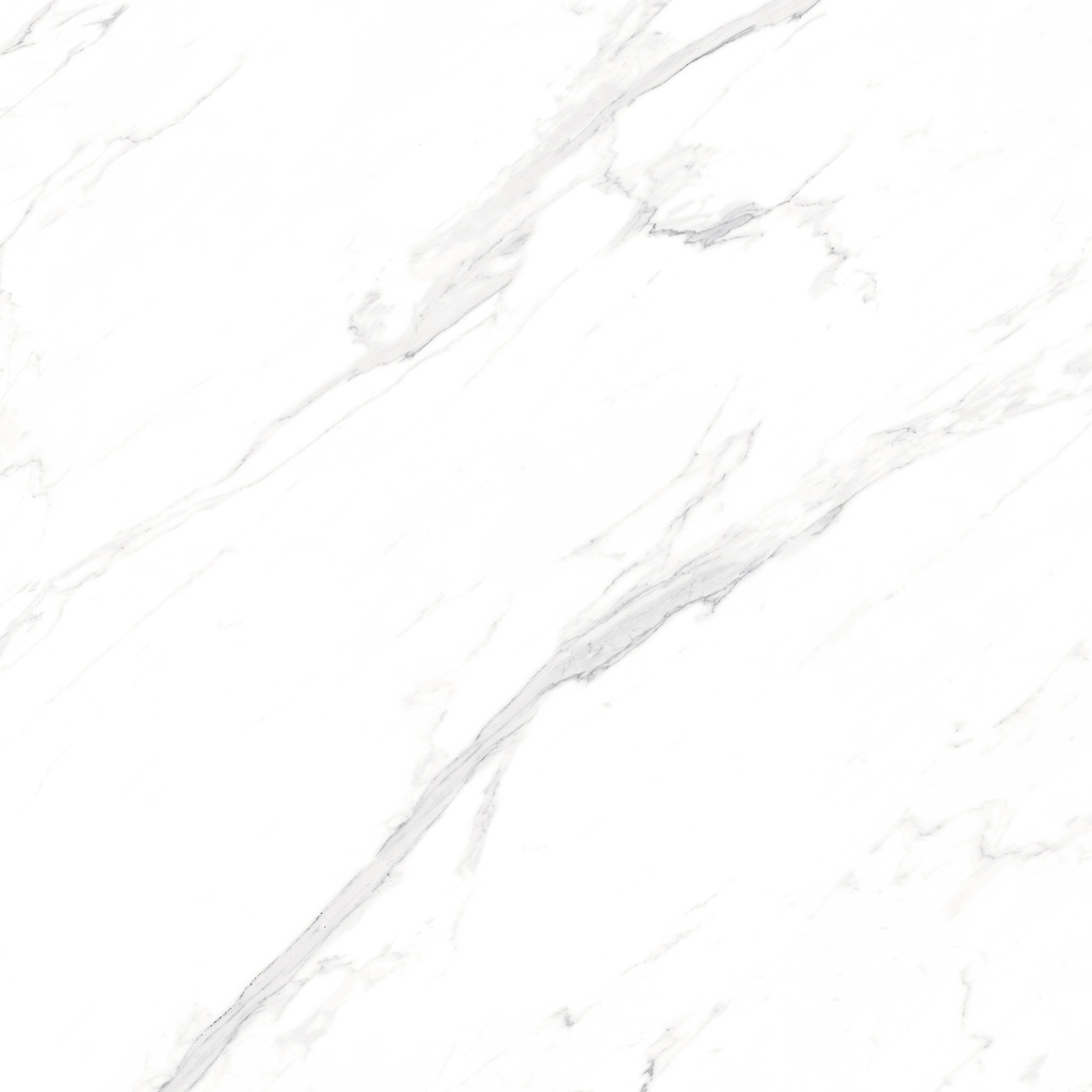 Marble Statuario Polished 48X48