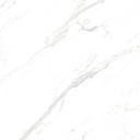 Marble Statuario Polished 48X48