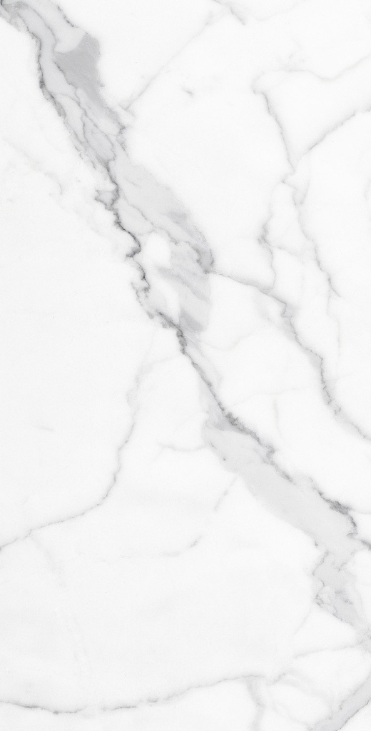 Slim Calacatta Bianco 24X48