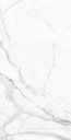 Slim Calacatta Bianco 24X48