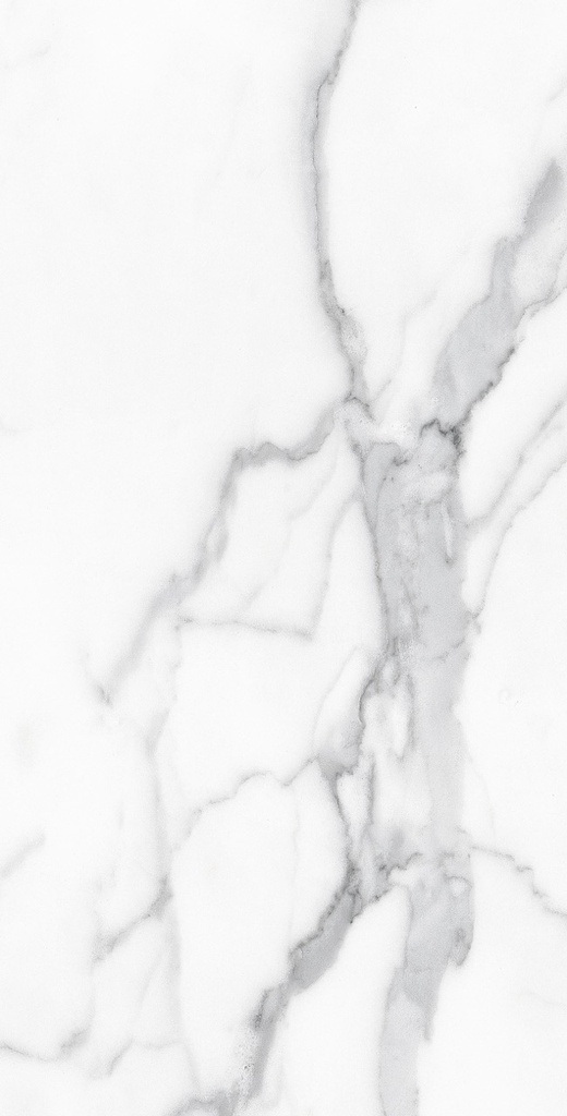 Slim Calacatta Bianco 24X48