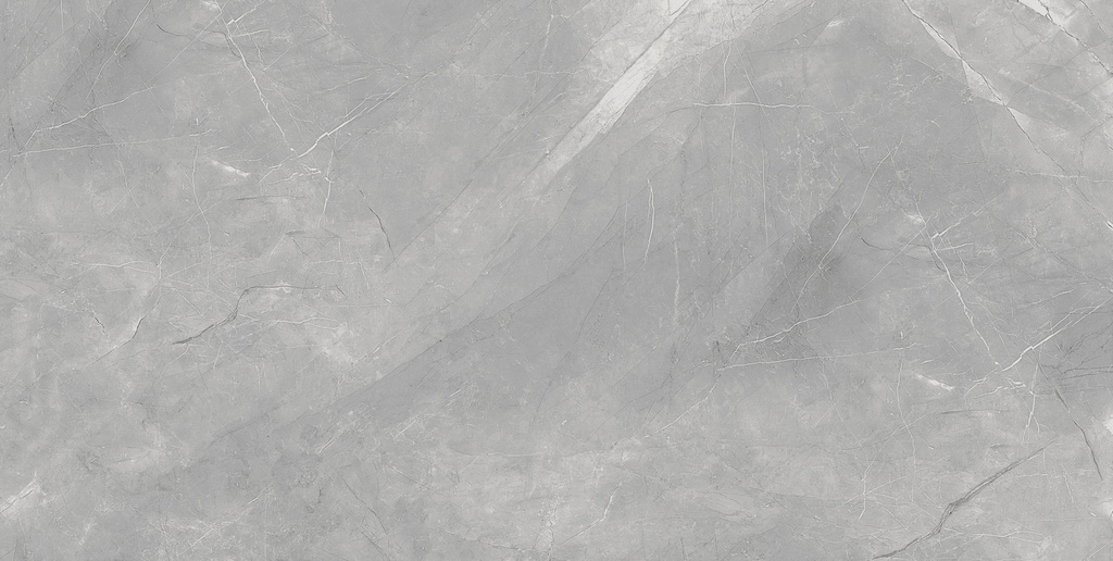 Pulpis Grey Matte 24x48_1