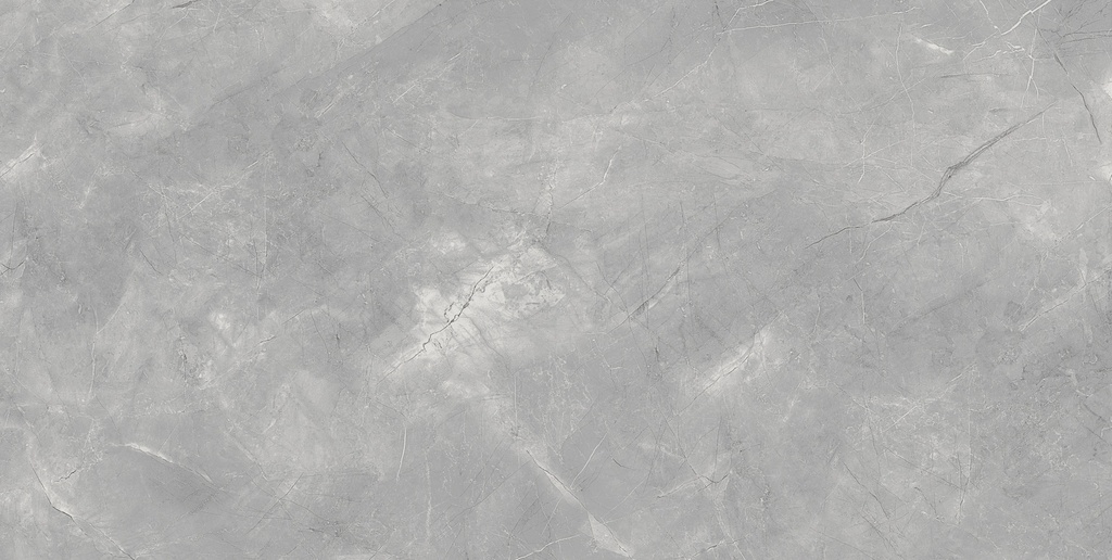 Pulpis Grey Matte 24x48_2