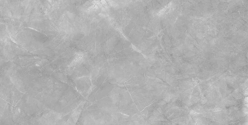 Pulpis Grey Matte 24x48_3