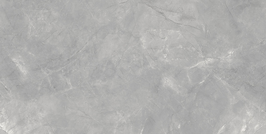 Pulpis Grey Matte 24x48_4
