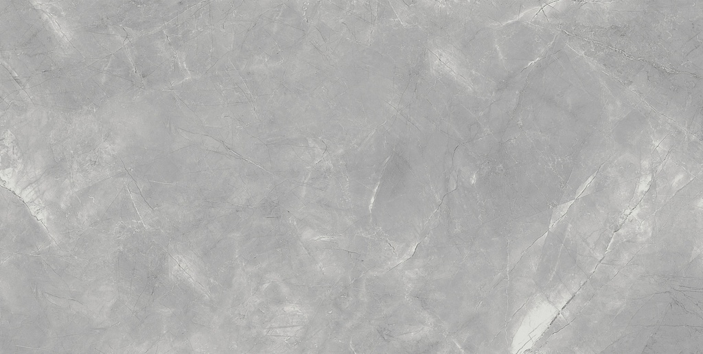 Pulpis Grey Matte 24x48_6