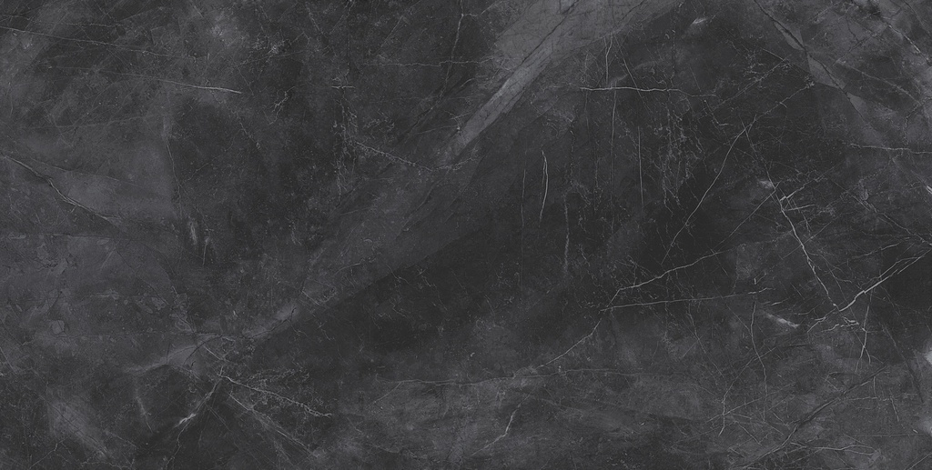 Pulpis Nero Matte 24x48_1
