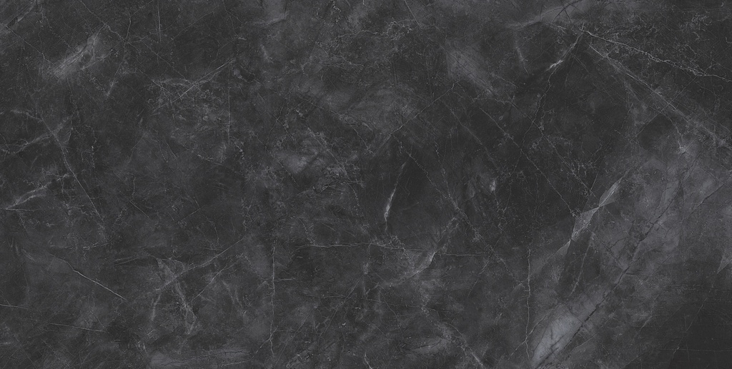 Pulpis Nero Matte 24x48_6