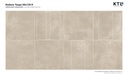 Rodano Taupe Antid 24x48