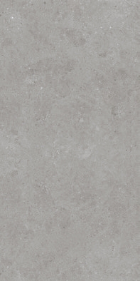 Ulisse Grey Mate 24x48