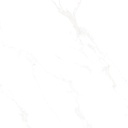 Marble Carrara Matte Satin 32x32