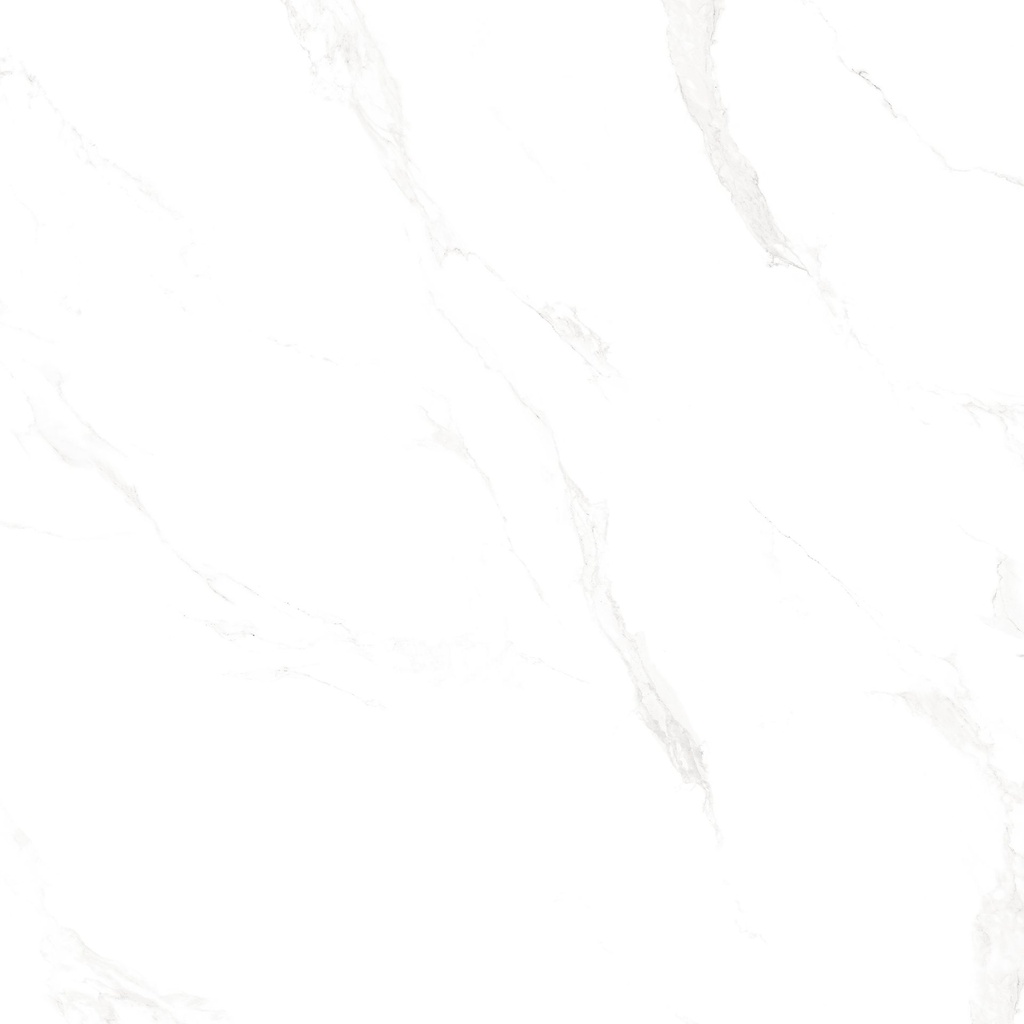 Marble Carrara Polished 24x24