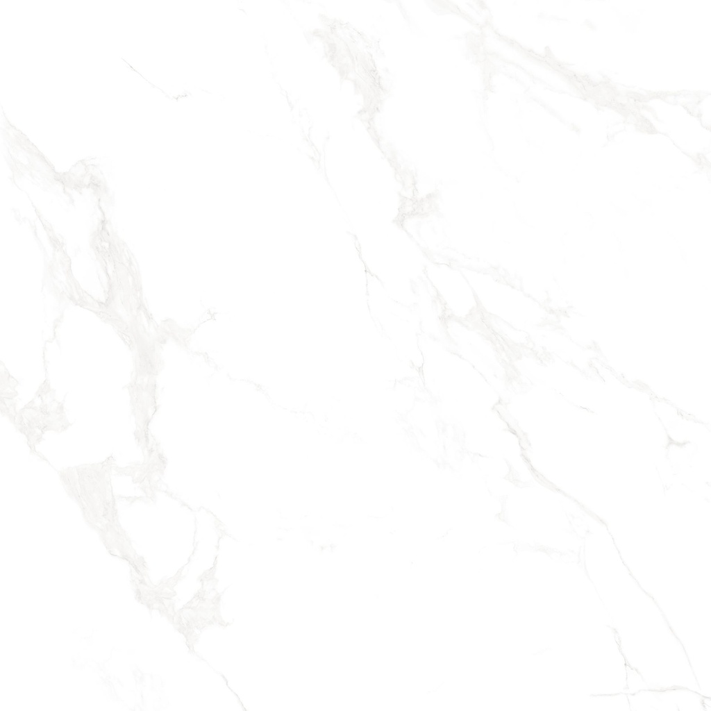 Marble Carrara Matte Satin 24x24