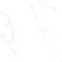 Marble Carrara Matte Satin 24x24
