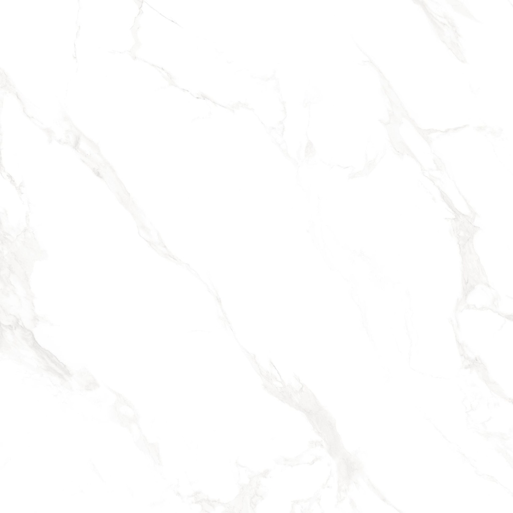 Marble Carrara Matte Satin 24x24