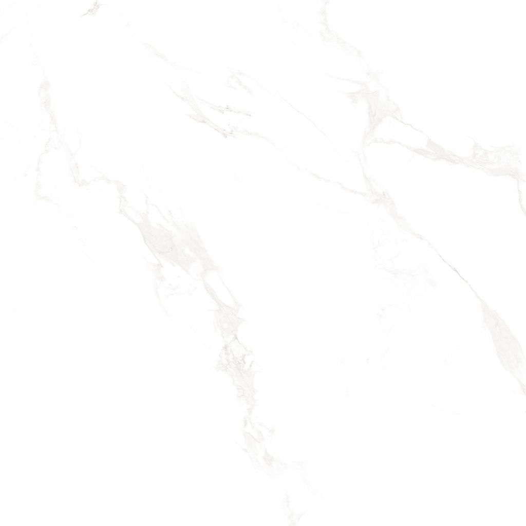Marble Carrara Matte Satin 24x24