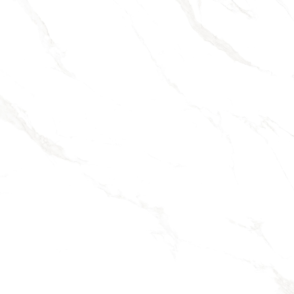 Marble Carrara Matte Satin 24x24