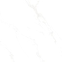 Marble Carrara Matte Satin 24x24