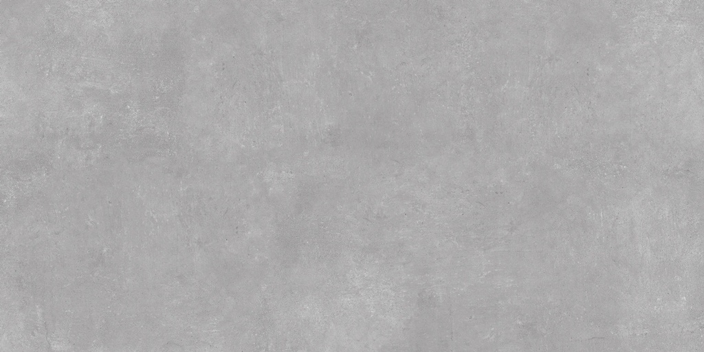 Ark Silver Matte 24x48