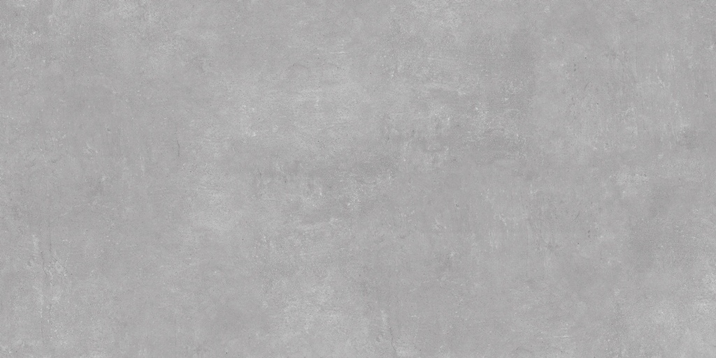 Ark Silver Matte 24x48