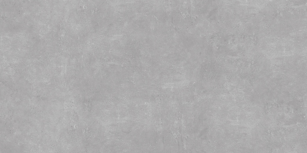 Ark Silver Matte 24x48
