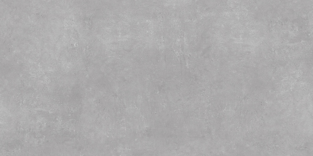 Ark Silver Matte 24x48