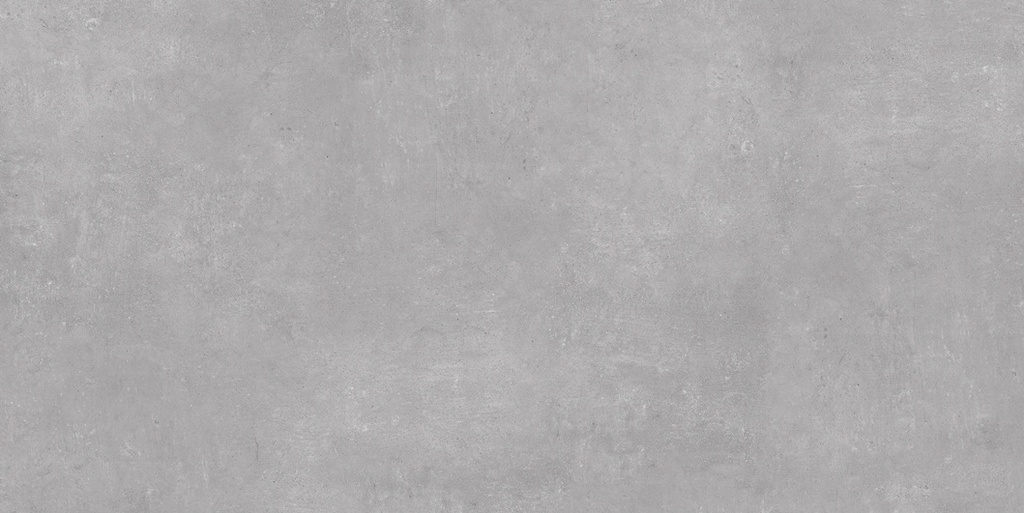 Ark Silver Matte 24x48