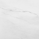 Snow Pulido 29.3X29.3