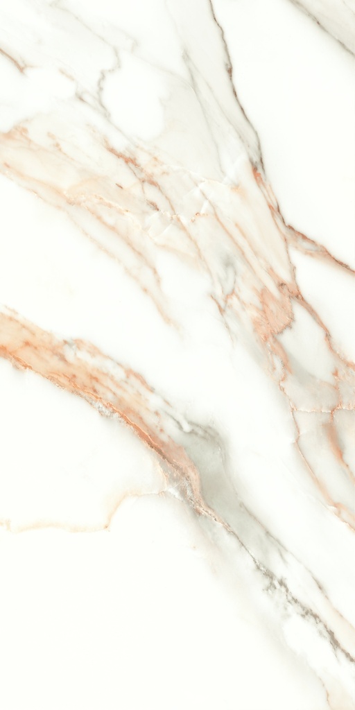 Lumiere Natural Polished 24x48