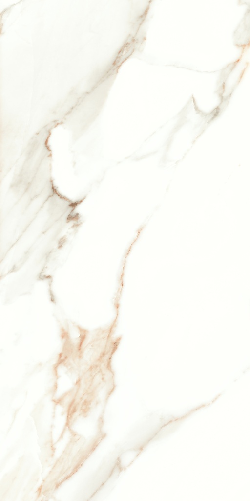 Lumiere Natural Polished 24x48