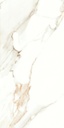 Lumiere Natural Polished 24x48