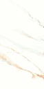 Lumiere Natural Polished 24x48