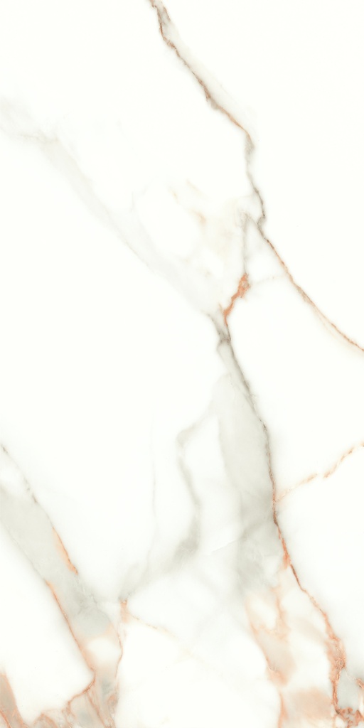 Lumiere Natural Polished 24x48