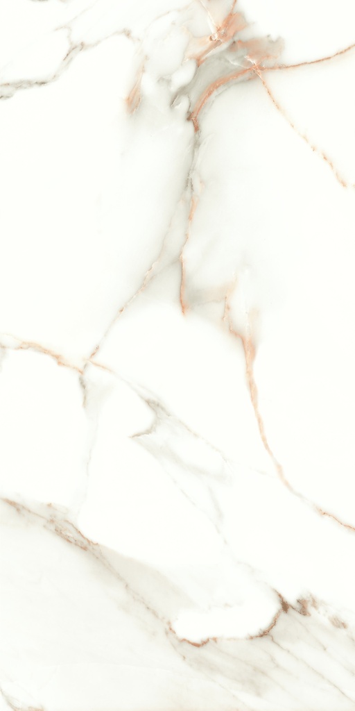 Lumiere Natural Polished 24x48