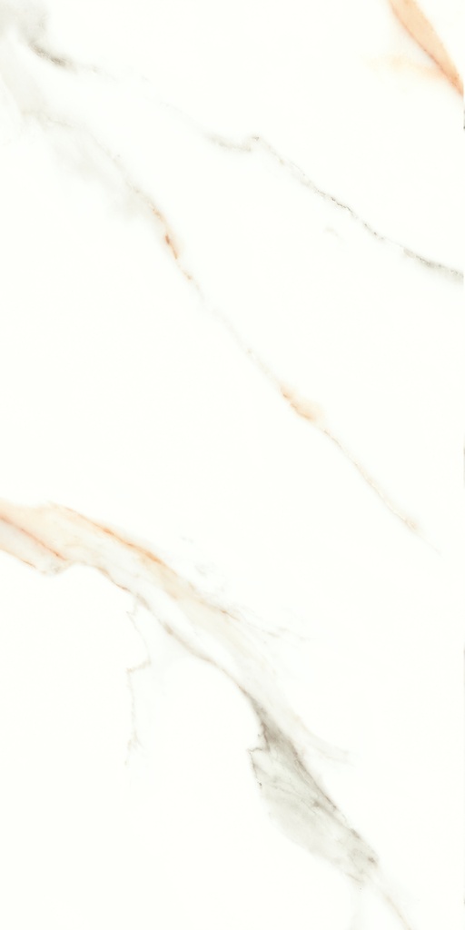 Lumiere Natural Polished 24x48