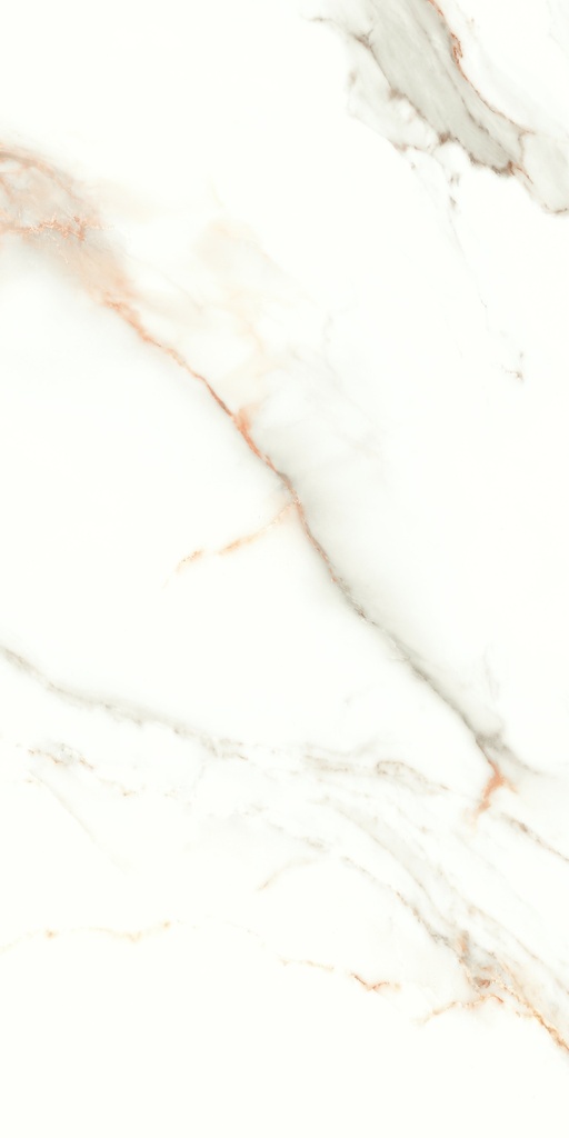 Lumiere Natural Polished 24x48