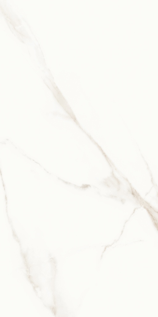 Lumiere White Polished 24x48