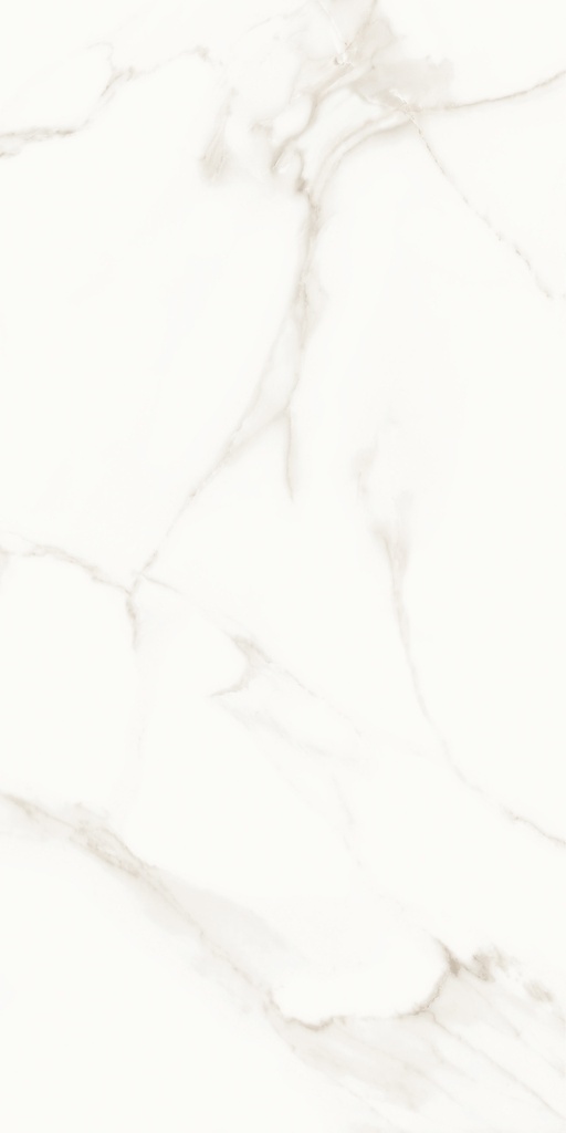 Lumiere White Polished 24x48