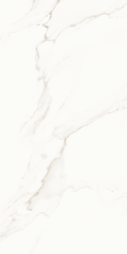 Lumiere White Polished 24x48