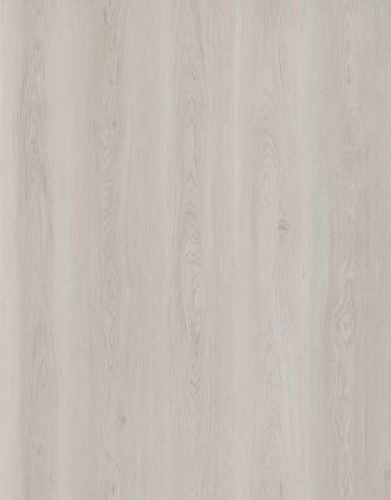 SPC Evoque Pro Oyster White