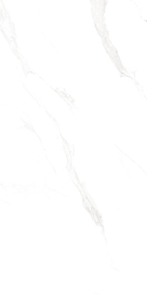 Marble Carrara Matte Satin 24x48