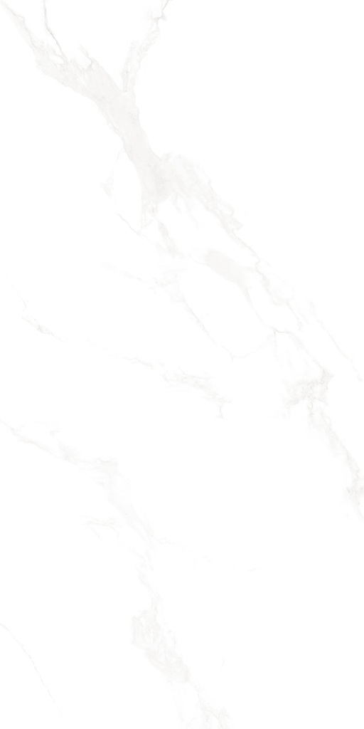 Marble Carrara Matte Satin 24x48