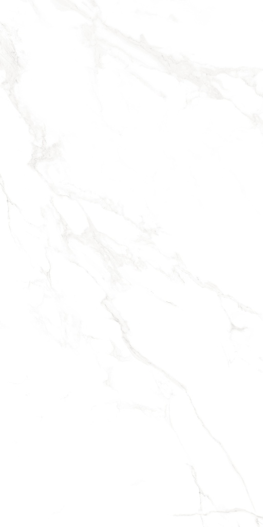 Marble Carrara Matte Satin 24x48