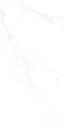 Marble Carrara Matte Satin 24x48